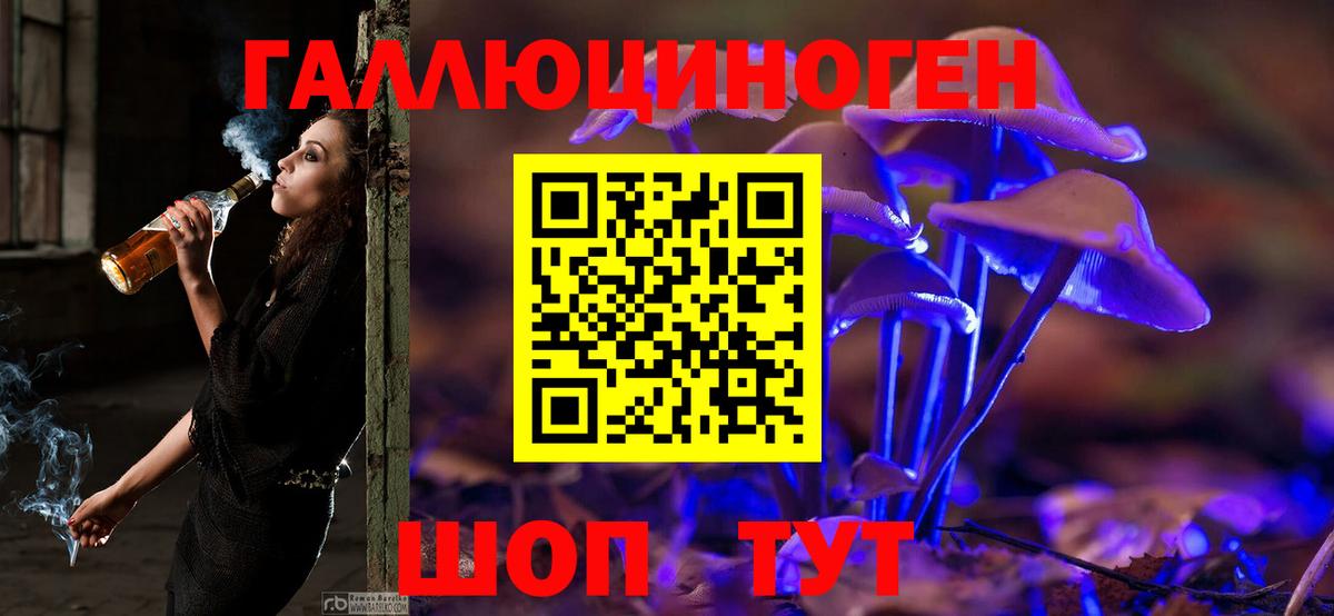Галлюциногенные грибы GOLDEN TEACHER Обь